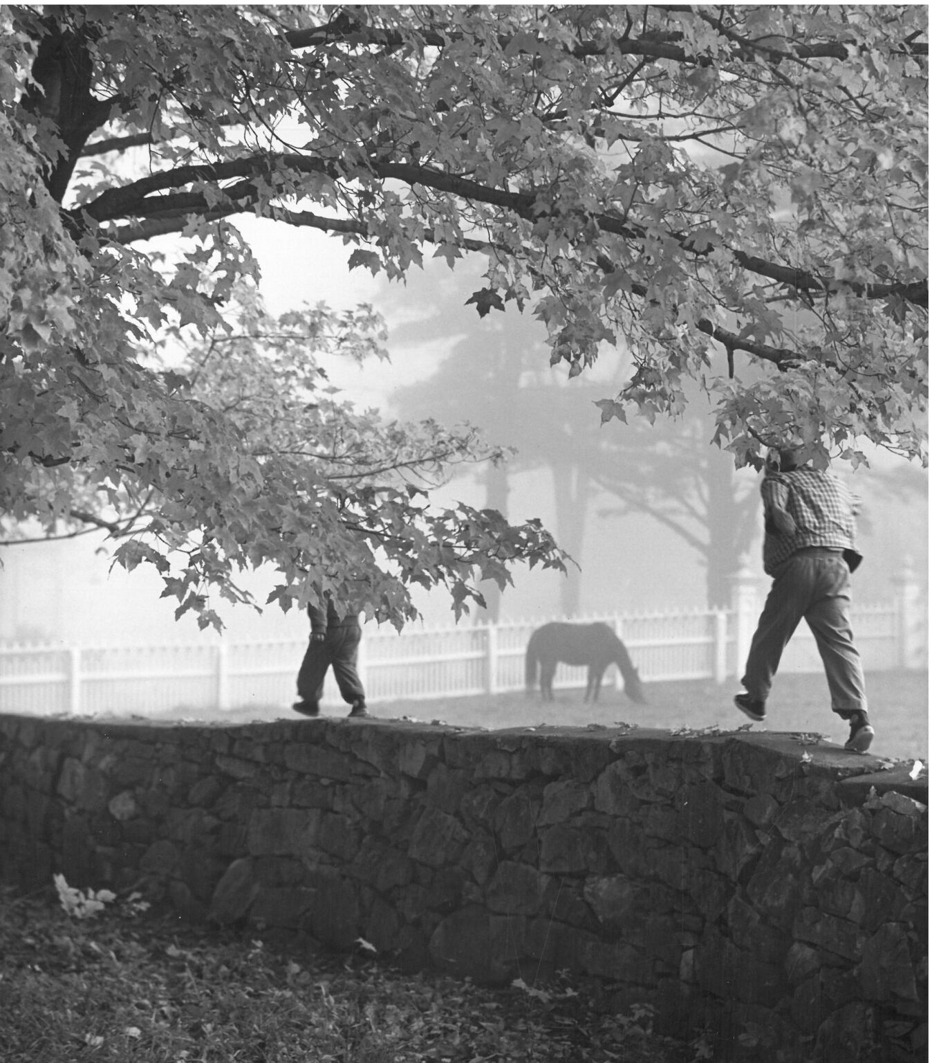 Churchill Street, Pittsfield, October 1960